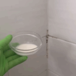 Schimmel op de kitrand in de douche? zo ben je er in een paar minuten van af