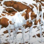 Optische illusie: probeer te identificeren hoeveel paarden er op de foto staan
