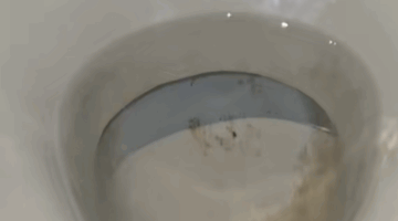 Met dit product van de Action heb jij geen last meer van vieze vlekken in je toiletpot.