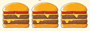 Kun jij binnen 15 seconden de hamburger vinden dat verschilt van de rest?