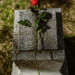 Jonge Nederlandse acteur (27) overleden