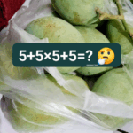 Zelfs basisschool kinderen weten dit! Weet jij het nog?