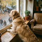 Dierenarts onthult: Zo lang kan een hond alleen thuis zijn