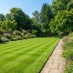 Na de winter? Doe dit ene simpele trucje en je gazon wordt weer diepgroen (GENIAAL!)