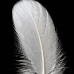 Zie jij deze 8 signalen? Dan probeert een overleden dierbare je misschien te bereiken