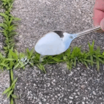 Strooi dit simpele keukenspul op je onkruid, en het verdwijnt bijna vanzelf