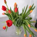 Deze fout zorgt ervoor dat je tulpen veel te snel gaan hangen!