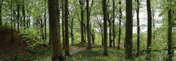 Ophef in Alkmaar na ernstige zedenzaak rond 13-jarig meisje als blijkt wie de dader is…