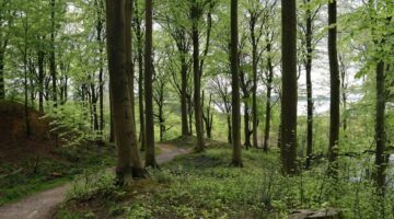 Ophef in Alkmaar na ernstige zedenzaak rond 13-jarig meisje als blijkt wie de dader is…