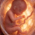 Dit filmpje gaat viraal op Internet: zo groeit een baby in slechts vier minuten