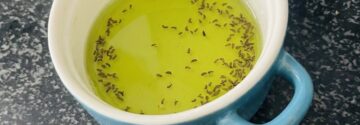 Simpele truc tegen vliegen en muggen gaat viraal: met deze 3 ingrediënten maak je zelf een insectenval