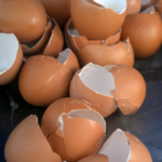 Gooi je eierschalen niet meer weg: hier kun je ze verrassend goed voor gebruiken