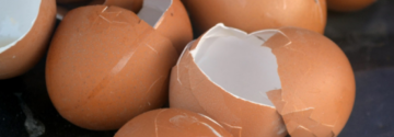 Gooi je eierschalen niet meer weg: hier kun je ze verrassend goed voor gebruiken