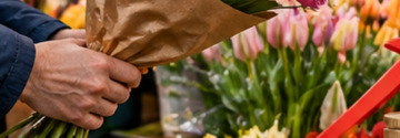 Bloemen en planten straks flink duurder? Branche waarschuwt voor verlies van duizenden banen